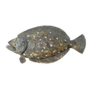 30" Flounder