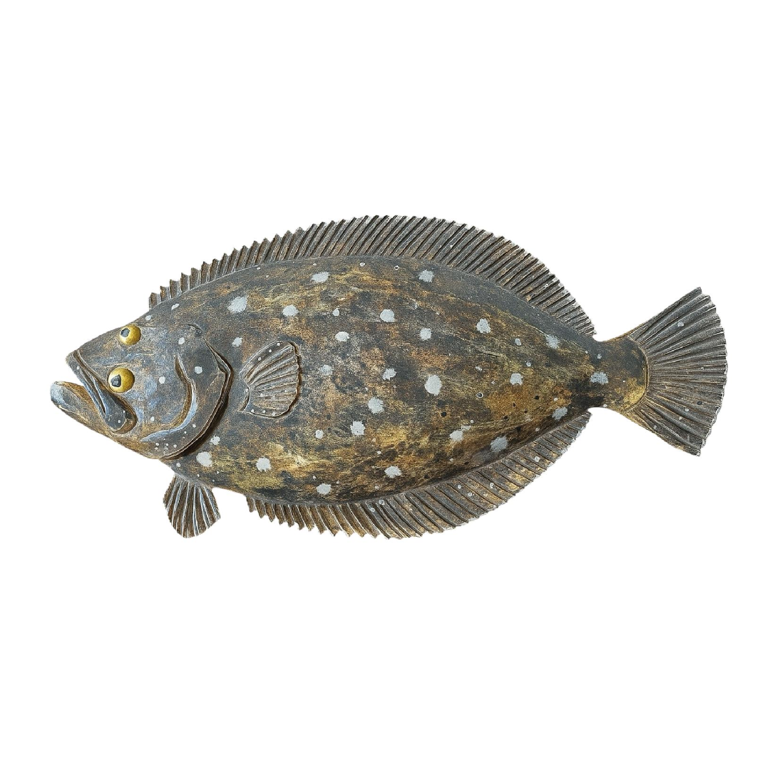 30″ Flounder