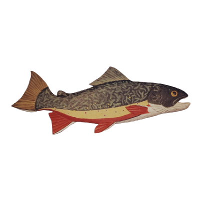 32″ Brook Trout