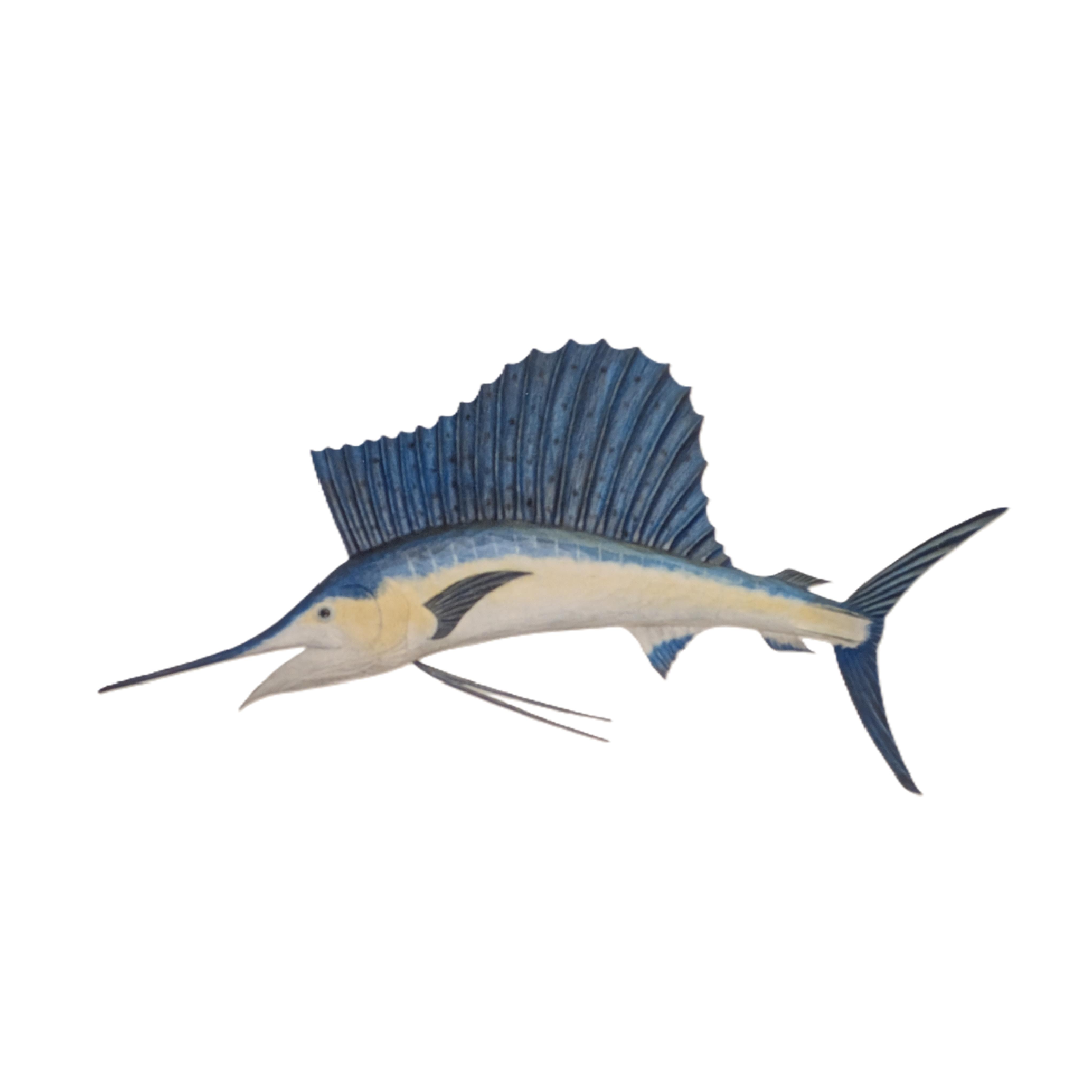72″ Sailfish