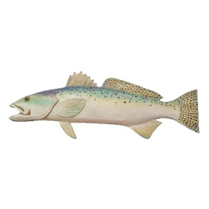 28" Seatrout