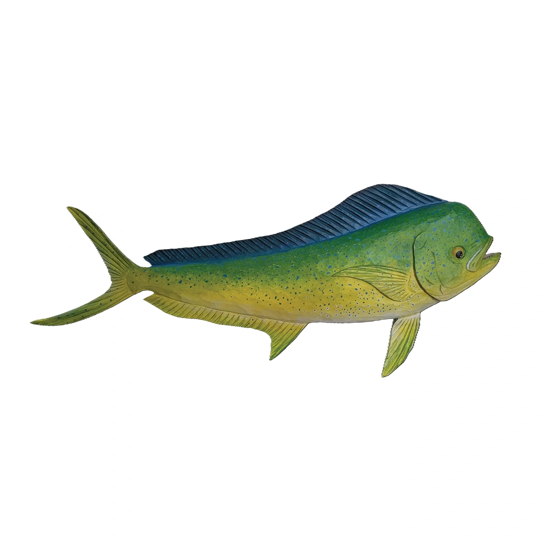 42″ Mahi Right