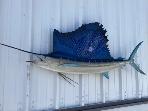 Saltwater Fish Mounts