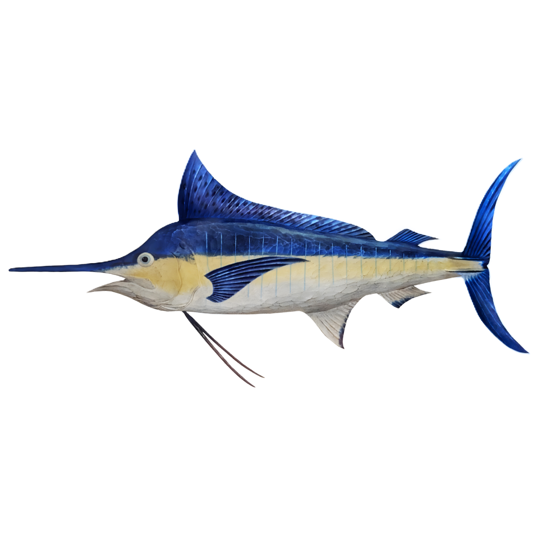 72″ Blue Marlin