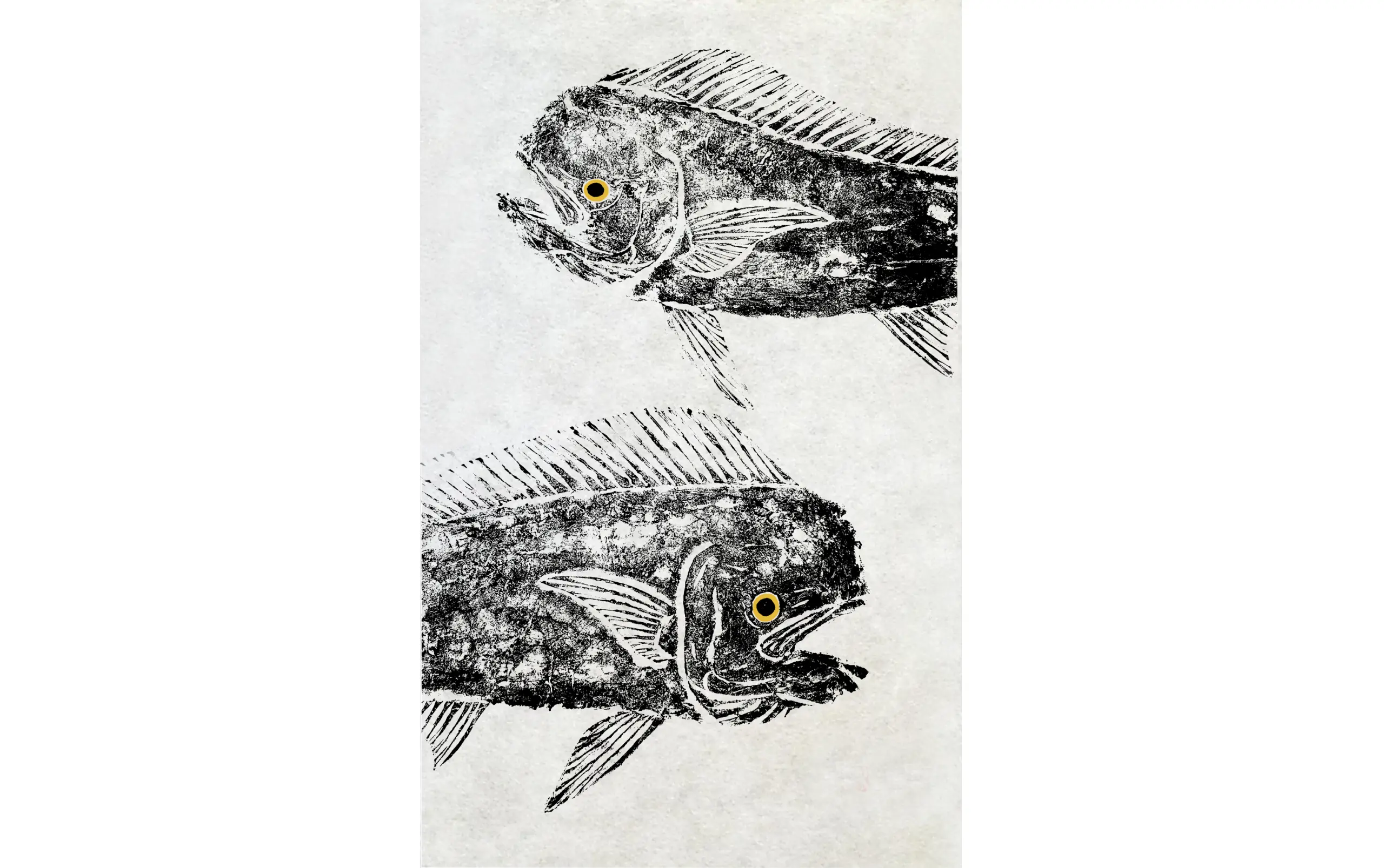 Mahi Mahi Gyotaku Giclee Print 20″ x 30″. Signed and numbered edition of 50.